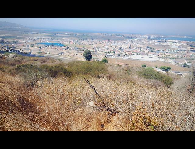 980M² VACANT LAND FOR SALE IN SALDANHA HEIGHTS